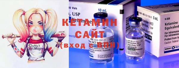 крисы Алзамай