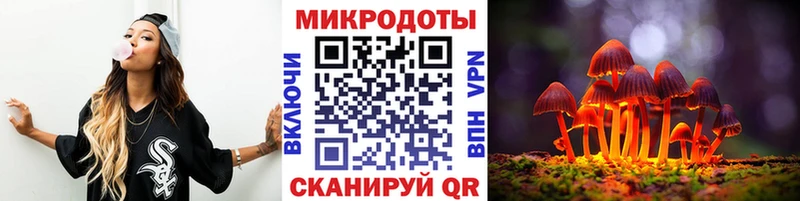 купить наркотики сайты  Кочубеевское  Псилоцибиновые грибы Cubensis 