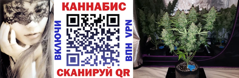Каннабис сатива  купить наркотики сайты  Кочубеевское 